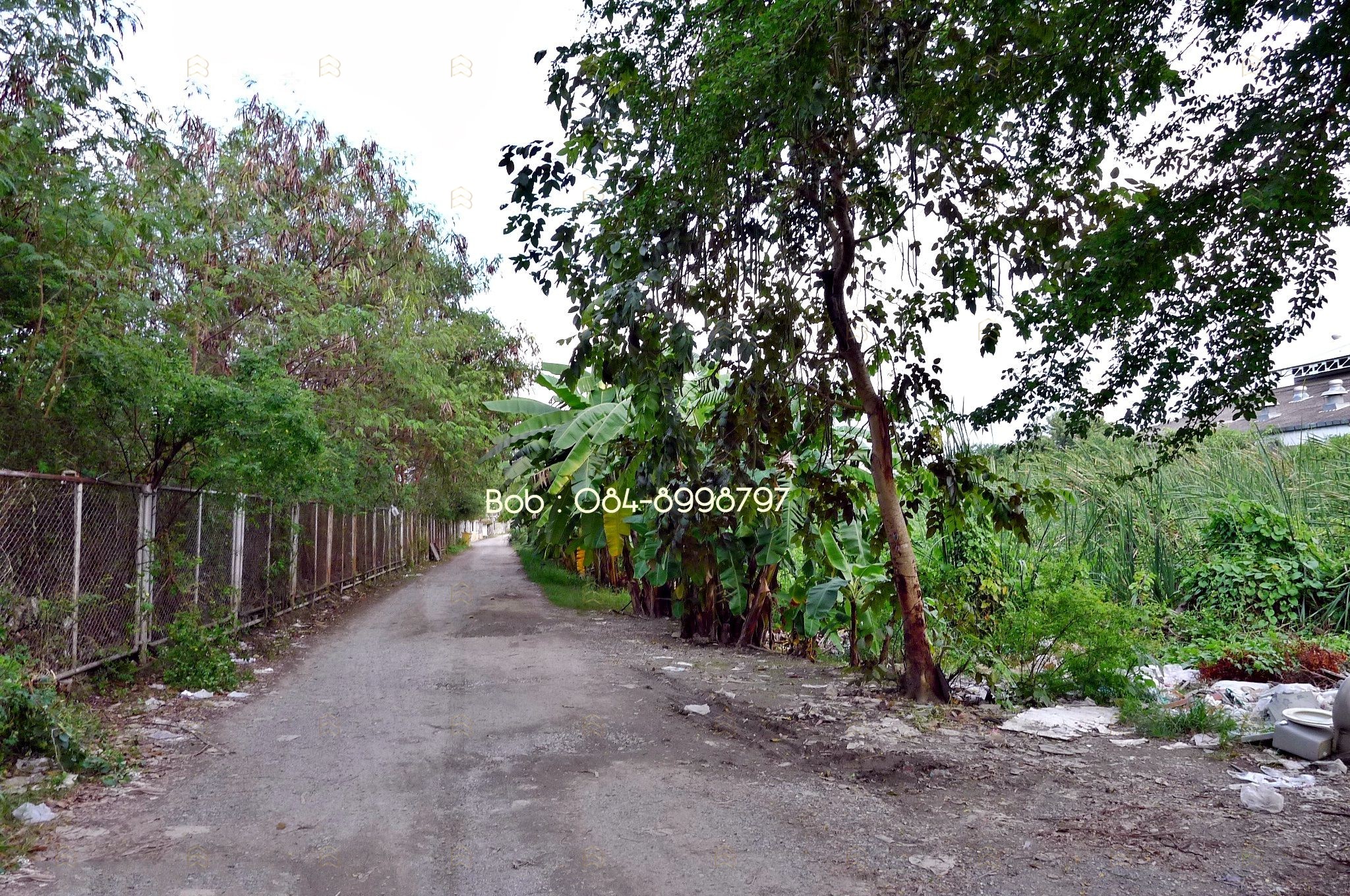 ขายที่ดินติดถนนพหลโยธิน คลองหลวง 4-3-52 ไร่ เยื้อง ม.ธรรมศาสตร์ รังสิต ทำเลศักยภาพ ผังสีส้ม - Image 3