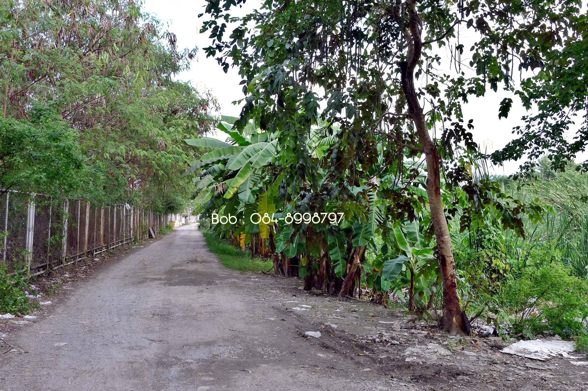 ขายที่ดินติดถนนพหลโยธิน คลองหลวง 4-3-52 ไร่ เยื้อง ม.ธรรมศาสตร์ รังสิต ทำเลศักยภาพ ผังสีส้ม - Image 4