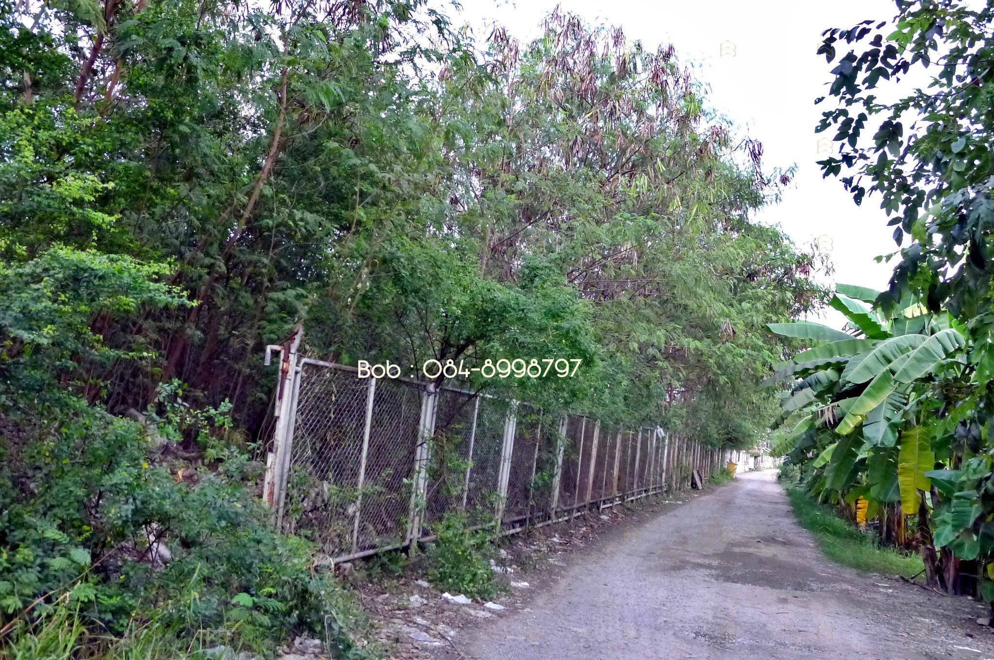 ขายที่ดินติดถนนพหลโยธิน คลองหลวง 4-3-52 ไร่ เยื้อง ม.ธรรมศาสตร์ รังสิต ทำเลศักยภาพ ผังสีส้ม - Image 5