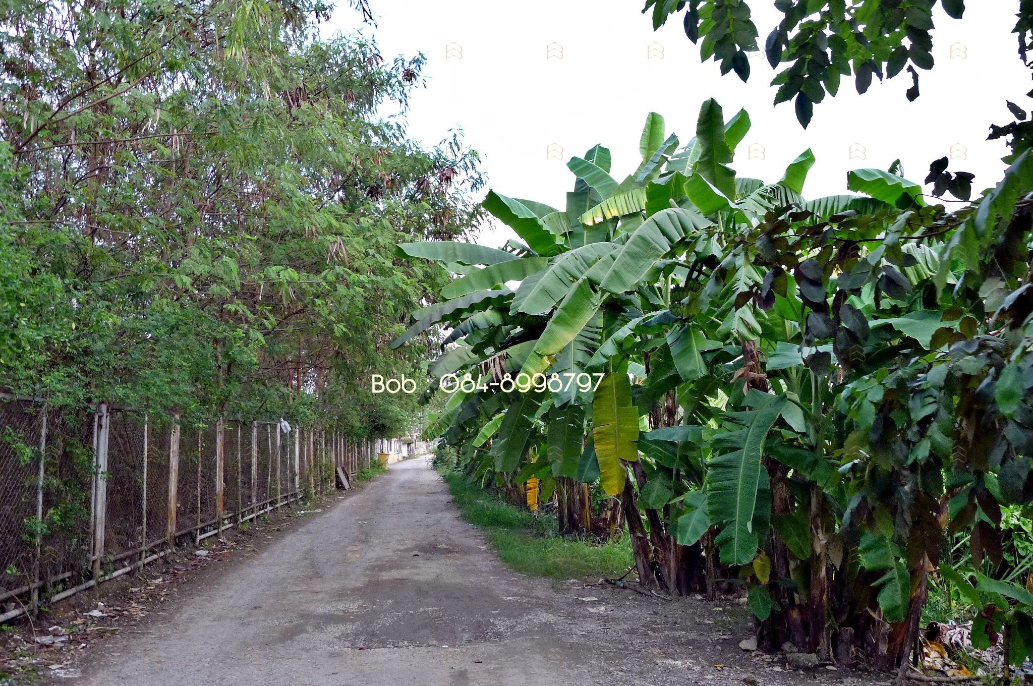 ขายที่ดินติดถนนพหลโยธิน คลองหลวง 4-3-52 ไร่ เยื้อง ม.ธรรมศาสตร์ รังสิต ทำเลศักยภาพ ผังสีส้ม - Image 6