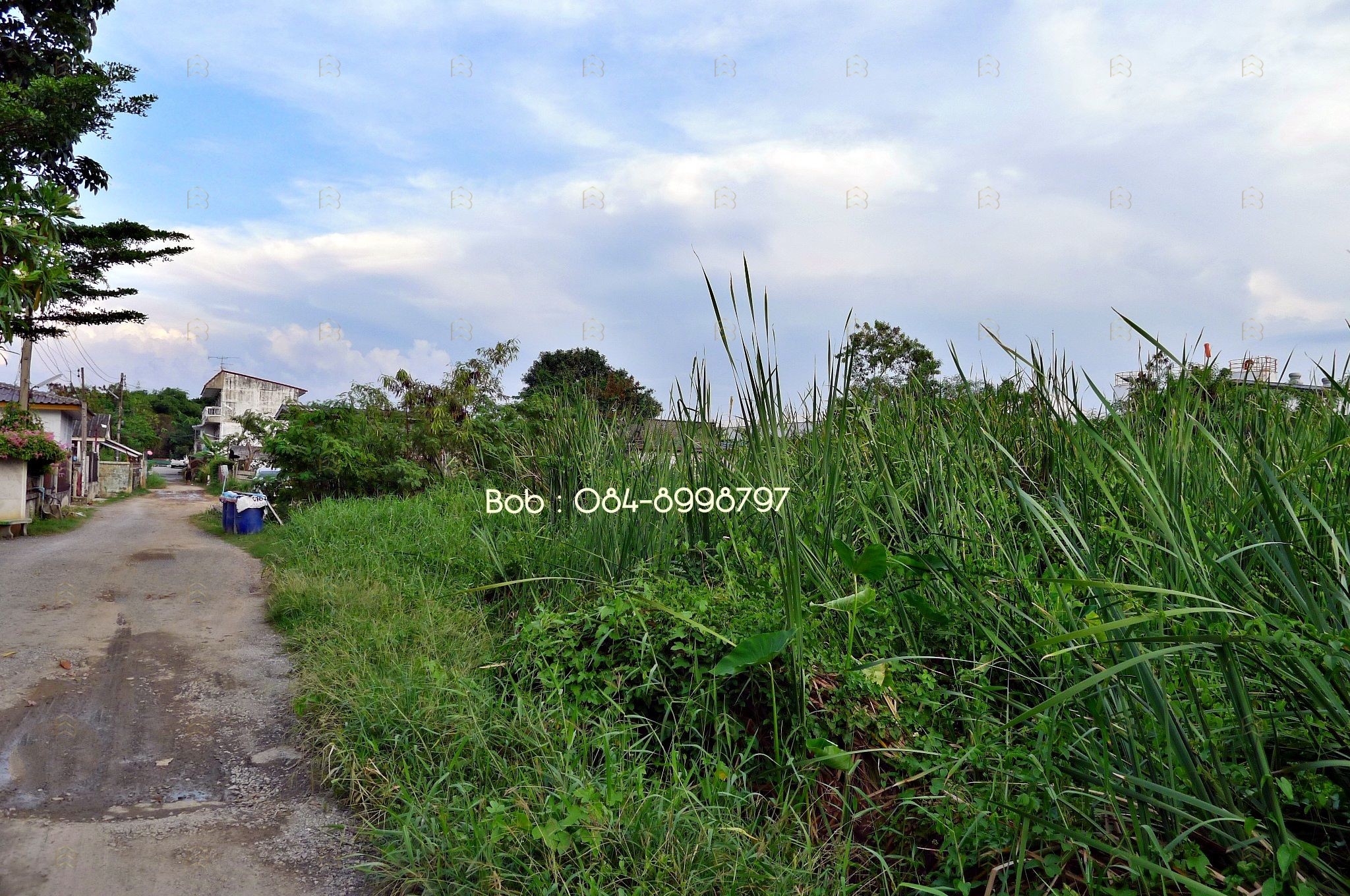 ขายที่ดินติดถนนพหลโยธิน คลองหลวง 4-3-52 ไร่ เยื้อง ม.ธรรมศาสตร์ รังสิต ทำเลศักยภาพ ผังสีส้ม - Image 7