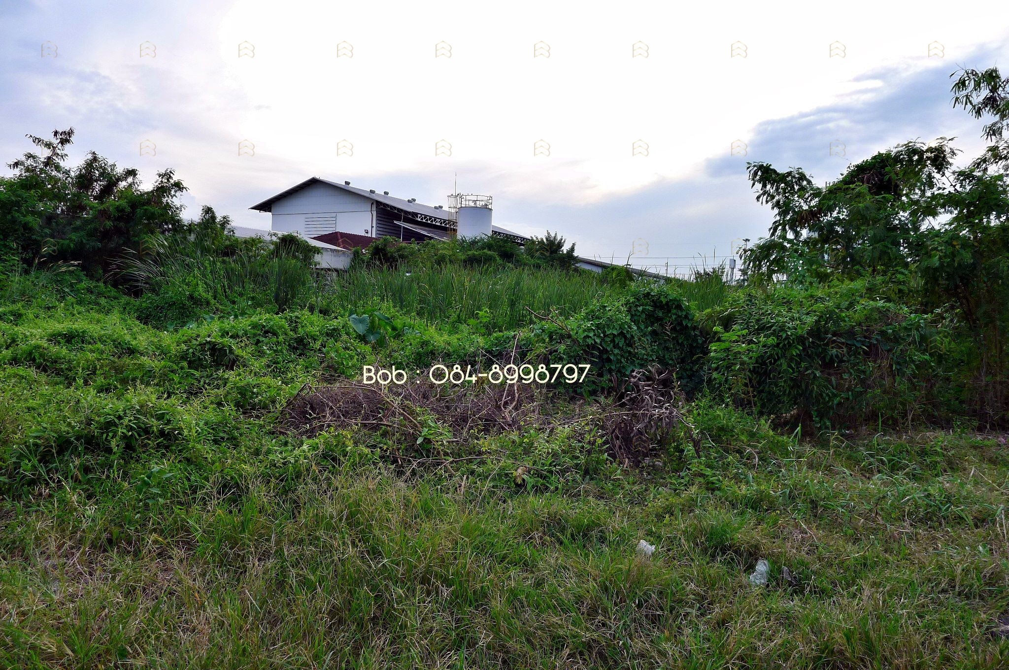 ขายที่ดินติดถนนพหลโยธิน คลองหลวง 4-3-52 ไร่ เยื้อง ม.ธรรมศาสตร์ รังสิต ทำเลศักยภาพ ผังสีส้ม - Image 8