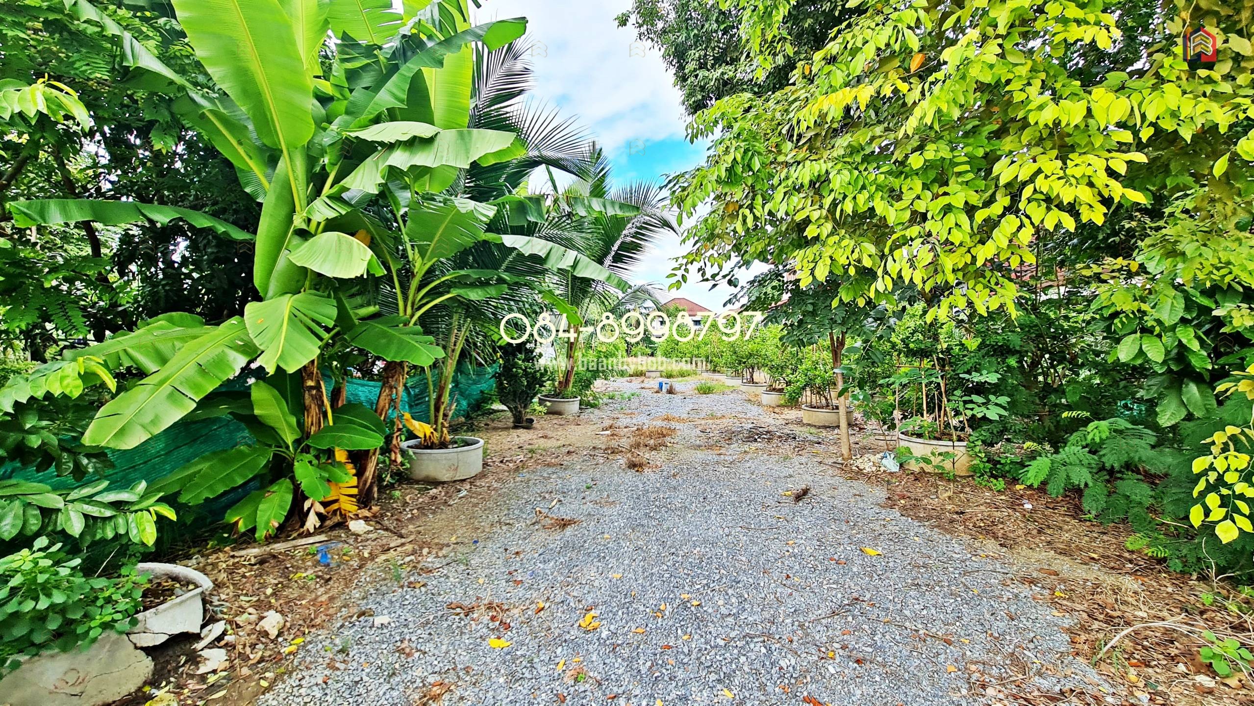 For Sale: 498 Sq.wa Land with House - Near Ratchaphruek Road, Mahasawat | Riverside Access | Prime Residential Area - Image 3
