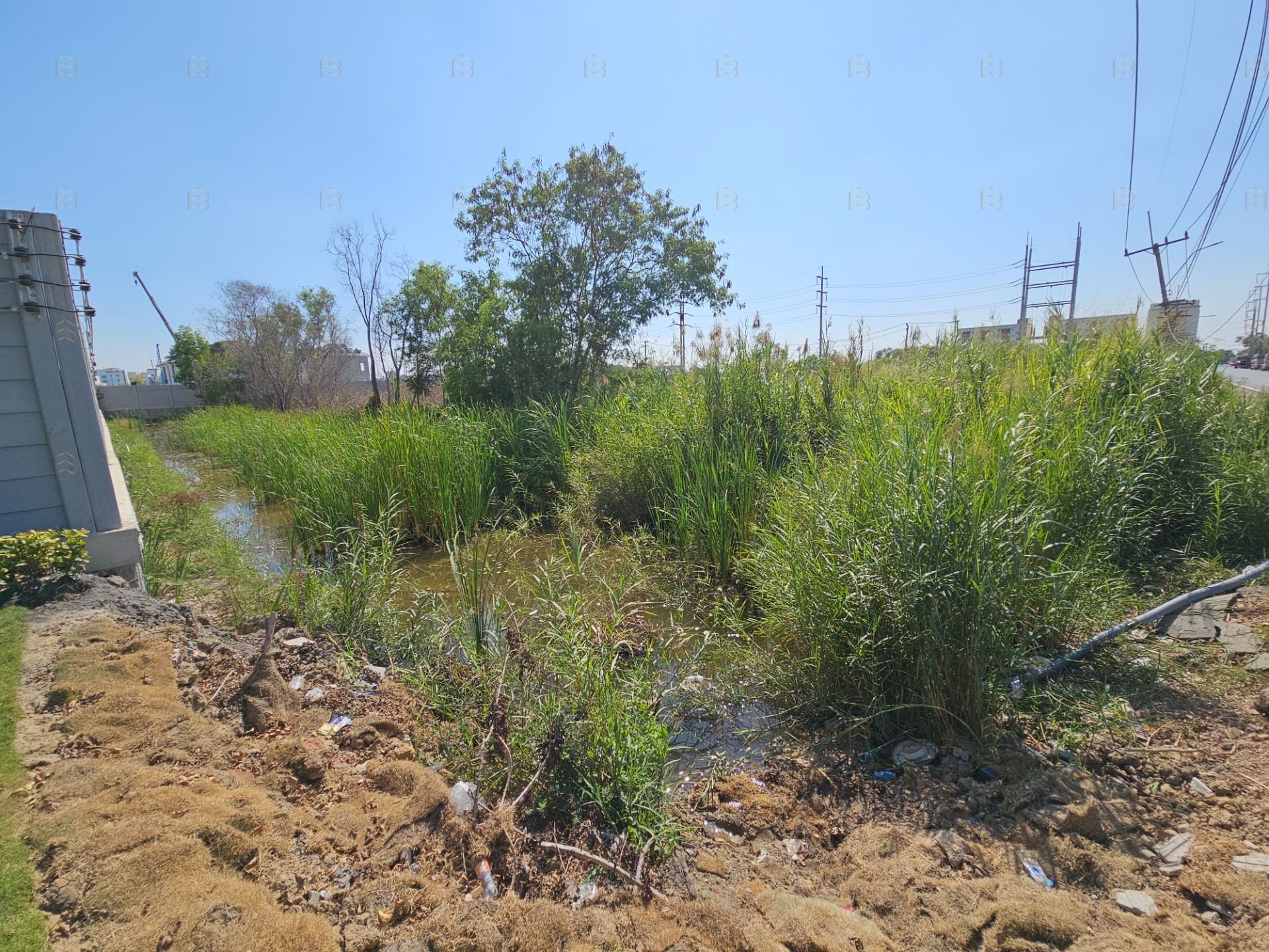 ขายที่ดินแปลงสวย 5 ไร่ รูปสี่เหลี่ยมจัตุรัส ทำเลทองคลองหลวง ใกล้ ม.ธรรมศาสตร์รังสิต เหมาะทำโครงการจัดสรรและหอพัก - Image 3