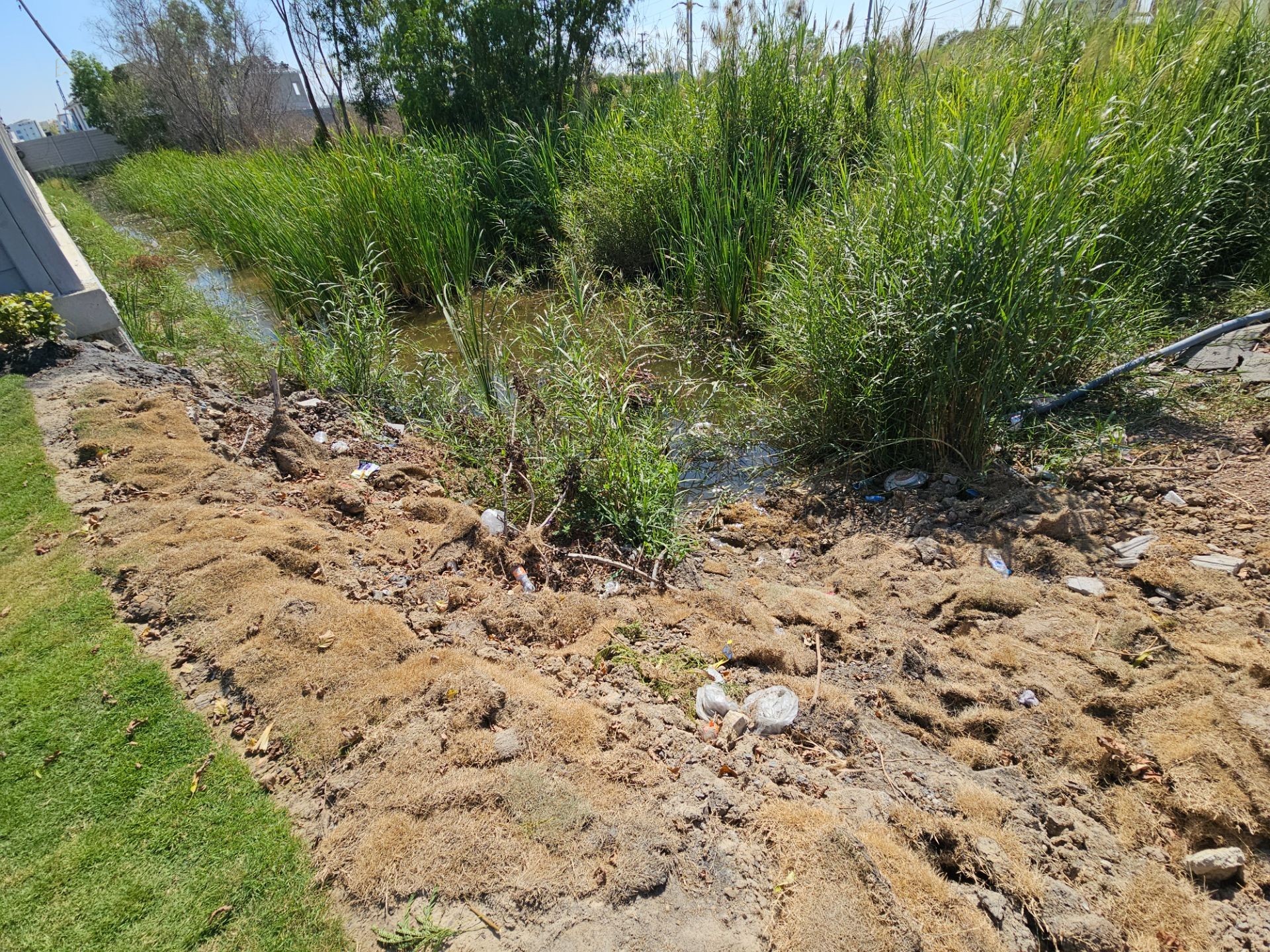 ขายที่ดินแปลงสวย 5 ไร่ รูปสี่เหลี่ยมจัตุรัส ทำเลทองคลองหลวง ใกล้ ม.ธรรมศาสตร์รังสิต เหมาะทำโครงการจัดสรรและหอพัก - Image 4
