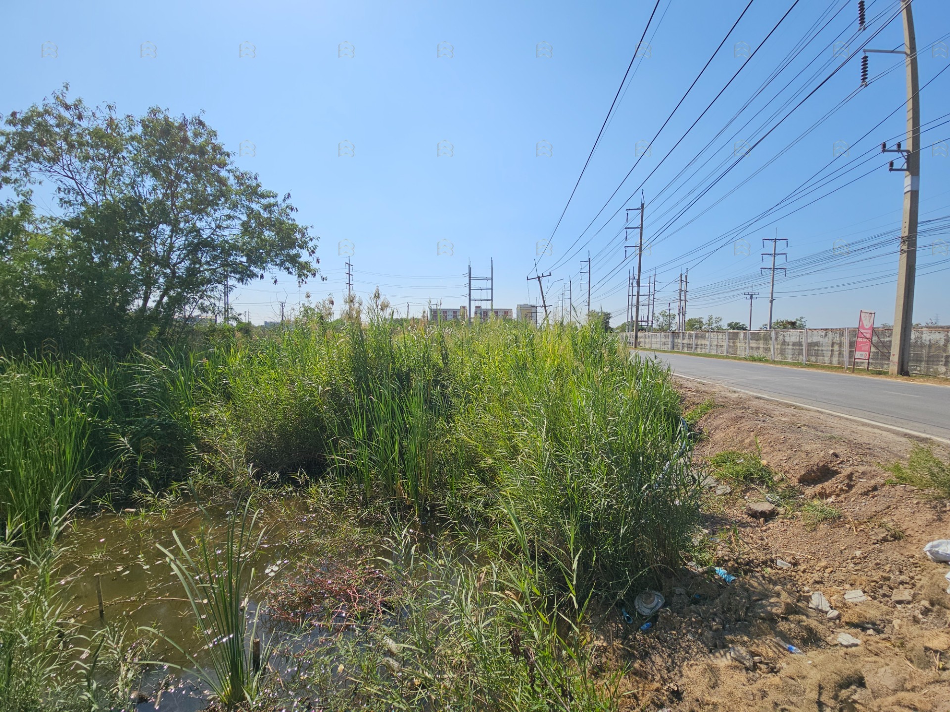 ขายที่ดินแปลงสวย 5 ไร่ รูปสี่เหลี่ยมจัตุรัส ทำเลทองคลองหลวง ใกล้ ม.ธรรมศาสตร์รังสิต เหมาะทำโครงการจัดสรรและหอพัก - Image 5