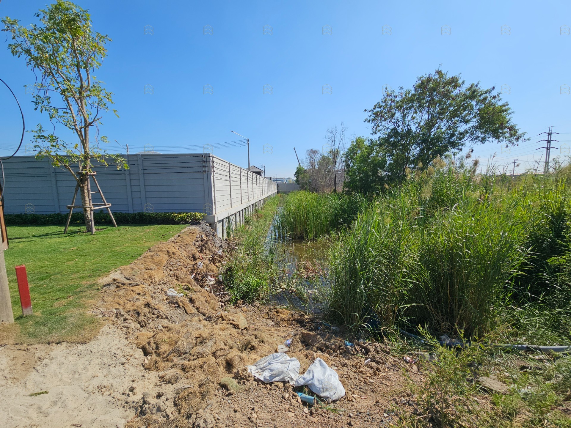ขายที่ดินแปลงสวย 5 ไร่ รูปสี่เหลี่ยมจัตุรัส ทำเลทองคลองหลวง ใกล้ ม.ธรรมศาสตร์รังสิต เหมาะทำโครงการจัดสรรและหอพัก - Image 7