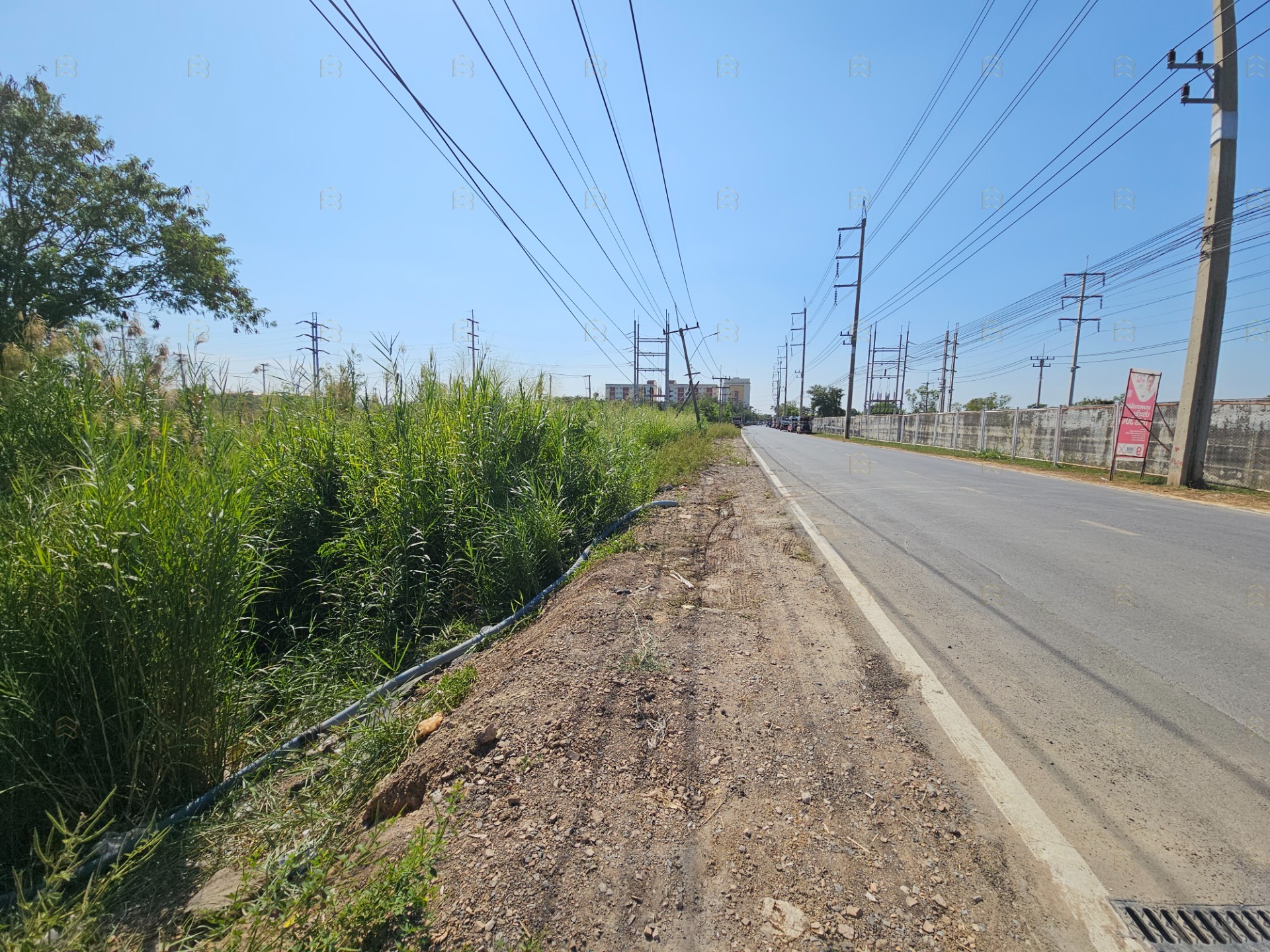 ขายที่ดินแปลงสวย 5 ไร่ รูปสี่เหลี่ยมจัตุรัส ทำเลทองคลองหลวง ใกล้ ม.ธรรมศาสตร์รังสิต เหมาะทำโครงการจัดสรรและหอพัก - Image 8