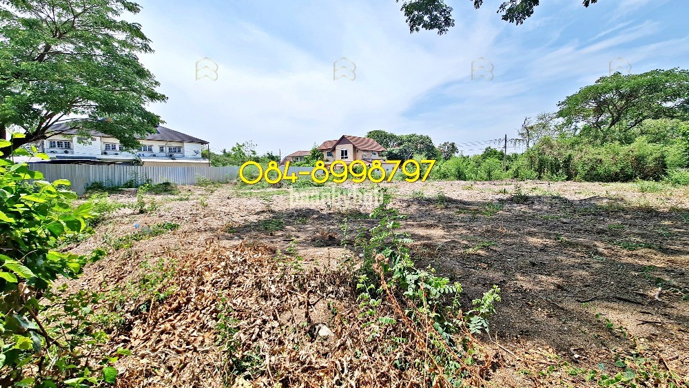 ขายที่ดิน บางแค พุทธมณฑล สาย2 หมู่บ้านรวมเก้า - Image 7