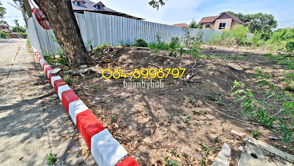 ขายที่ดินบางแค พุทธมณฑลสาย 2 หมู่บ้านรวมเก้า 251 ตร.ว. แปลงสวยติดถนนเมน ถมแล้วพร้อมรั้ว - Image 10