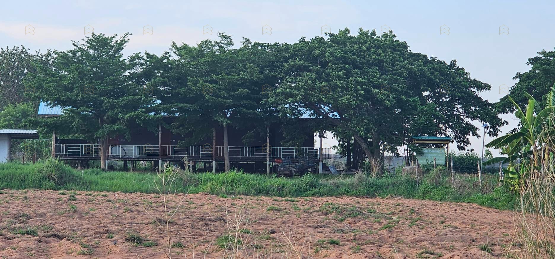 ขายที่ดินเมืองขอนแก่น 66-2-15 ไร่ พร้อมตึกสำนักงาน 3 ชั้น และบ้านพักอาศัย ขายด่วน ไร่ละ 1,700,000 บาท - Image 2