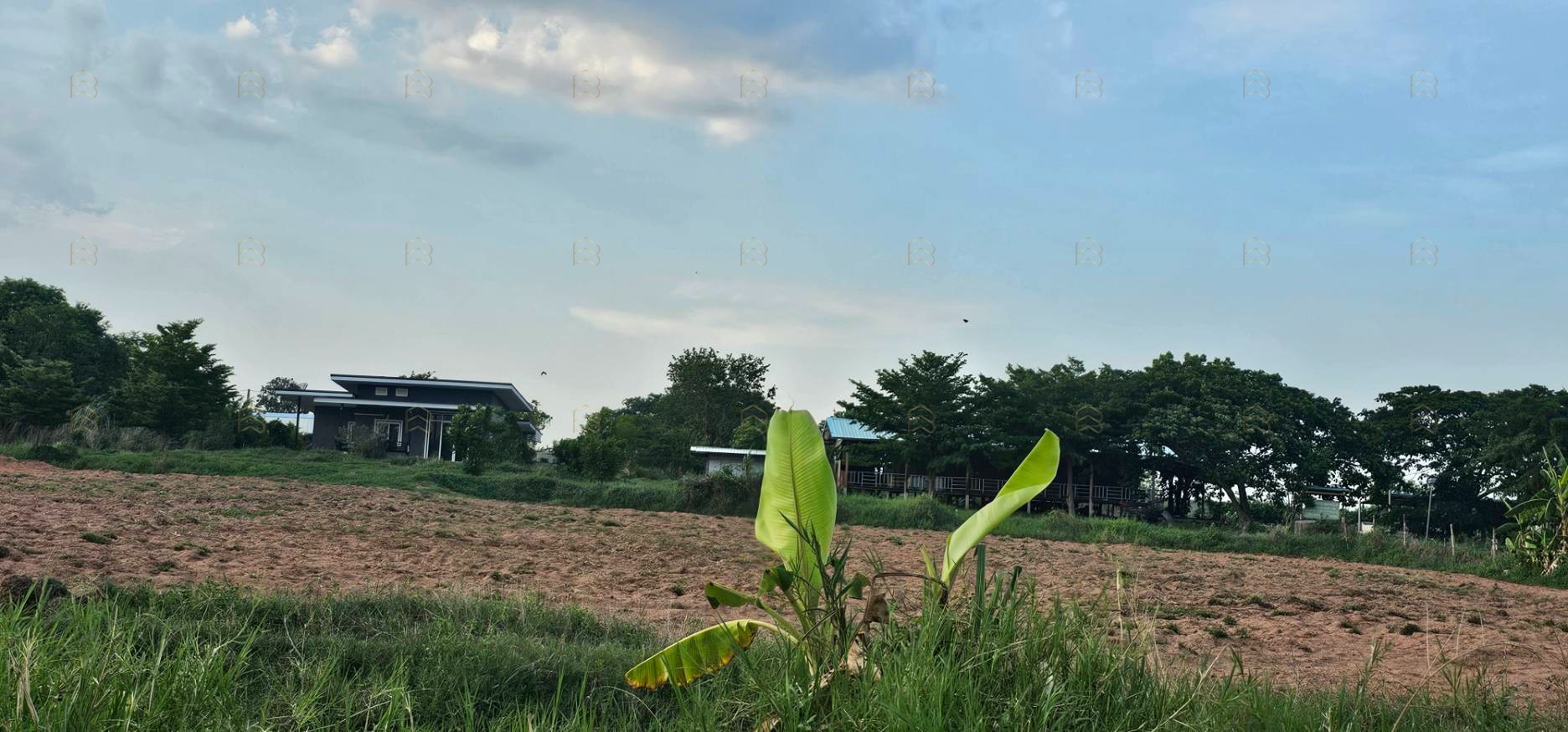 ขายที่ดินเมืองขอนแก่น 66-2-15 ไร่ พร้อมตึกสำนักงาน 3 ชั้น และบ้านพักอาศัย ขายด่วน ไร่ละ 1,700,000 บาท - Image 6