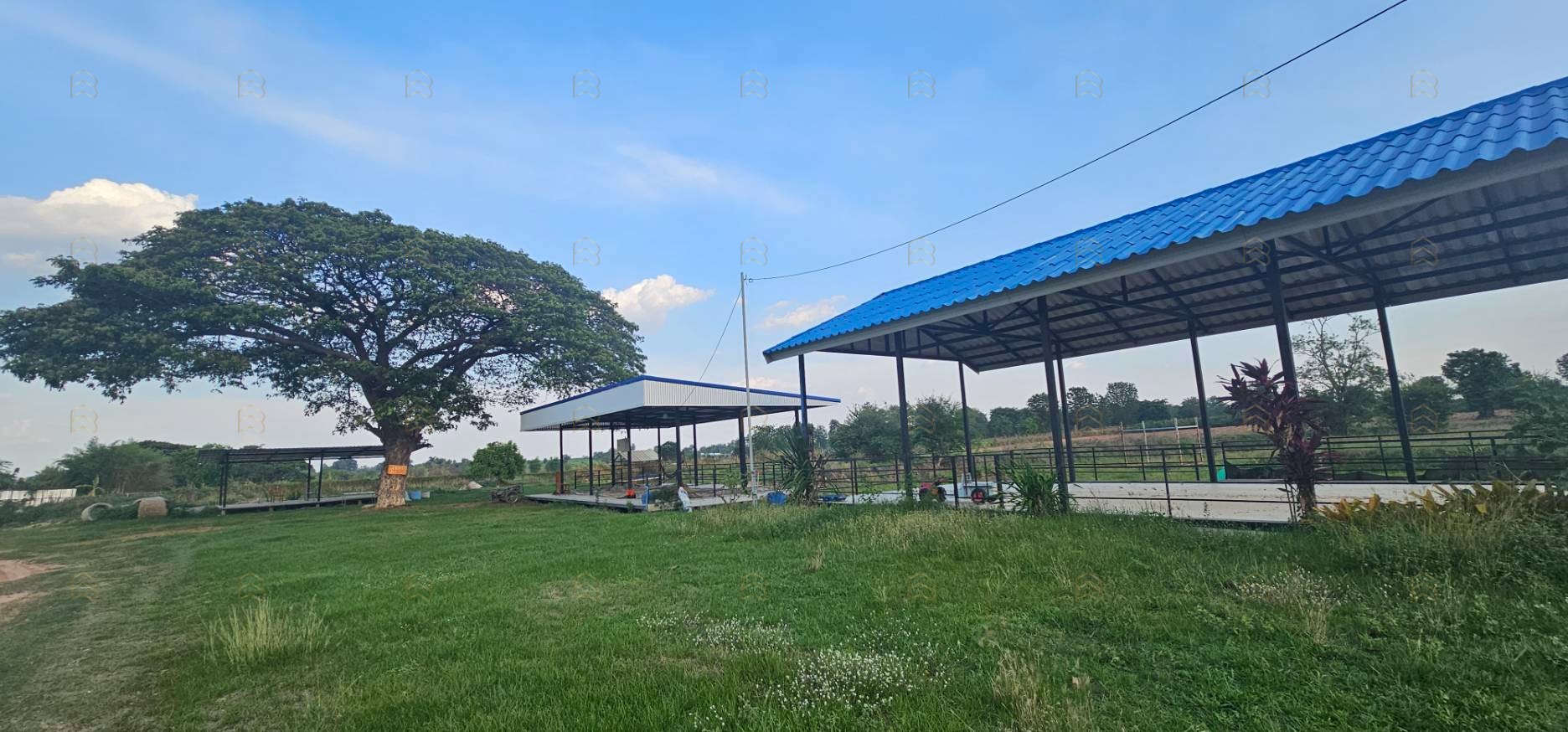 ขายที่ดินเมืองขอนแก่น 66-2-15 ไร่ พร้อมตึกสำนักงาน 3 ชั้น และบ้านพักอาศัย ขายด่วน ไร่ละ 1,700,000 บาท - Image 8