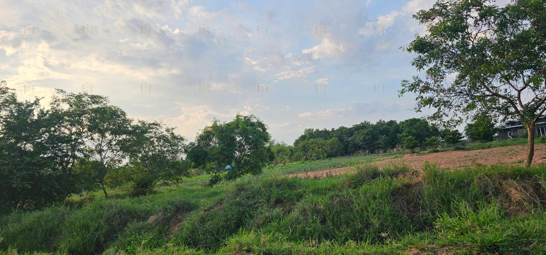 ขายที่ดินเมืองขอนแก่น 66-2-15 ไร่ พร้อมตึกสำนักงาน 3 ชั้น และบ้านพักอาศัย ขายด่วน ไร่ละ 1,700,000 บาท - Image 9