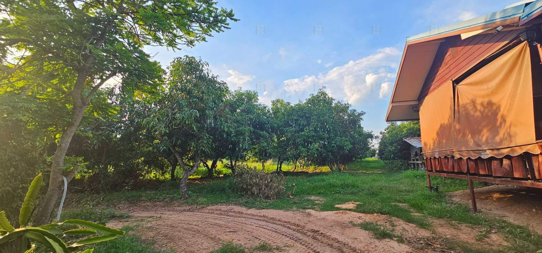 ขายที่ดินเมืองขอนแก่น 66-2-15 ไร่ พร้อมตึกสำนักงาน 3 ชั้น และบ้านพักอาศัย ขายด่วน ไร่ละ 1,700,000 บาท - Image 10