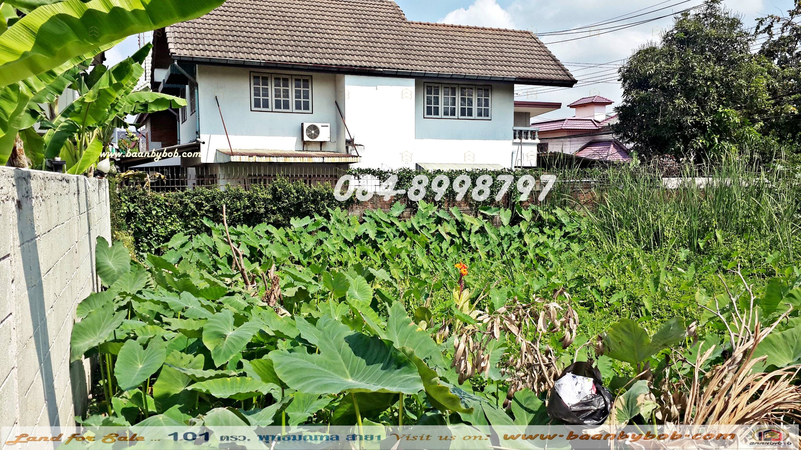 Prime 101 Sq.wa Corner Plot on Phutthamonthon Sai 1 near Expressway - Perfect for Home or Office - Image 2