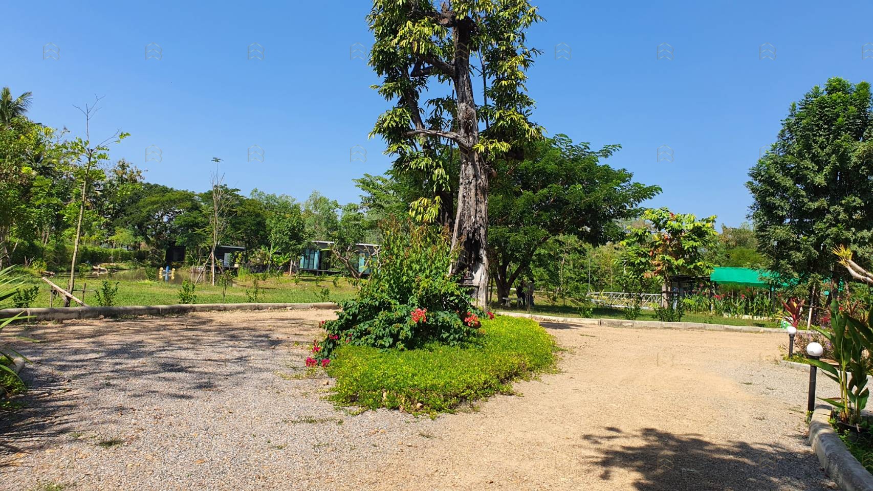 ขายบ้านสวนสไตล์รีสอร์ท ลำปาง 7 ไร่เศษ พร้อมบ้านพักและสิ่งปลูกสร้างครบครัน ใกล้ตัวเมืองเพียง 4 กม. - Image 5